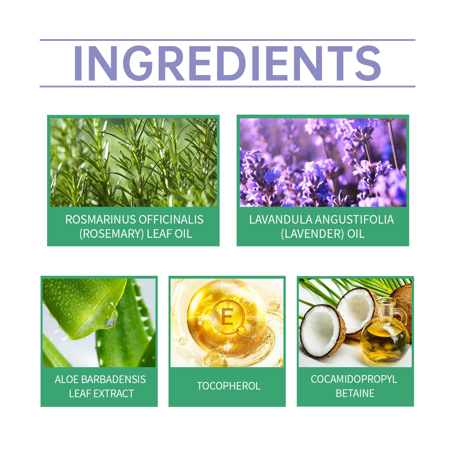 Rosemary Moisturizing Shampoo — Nourishing Scalp Cleanser with Vitamin E